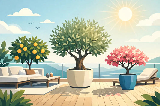 Quel arbre pour terrasse ensoleillée ? - Royal Palm Aix