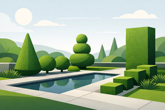 Topiaire jardin moderne - l’art de structurer - Royal Palm Aix