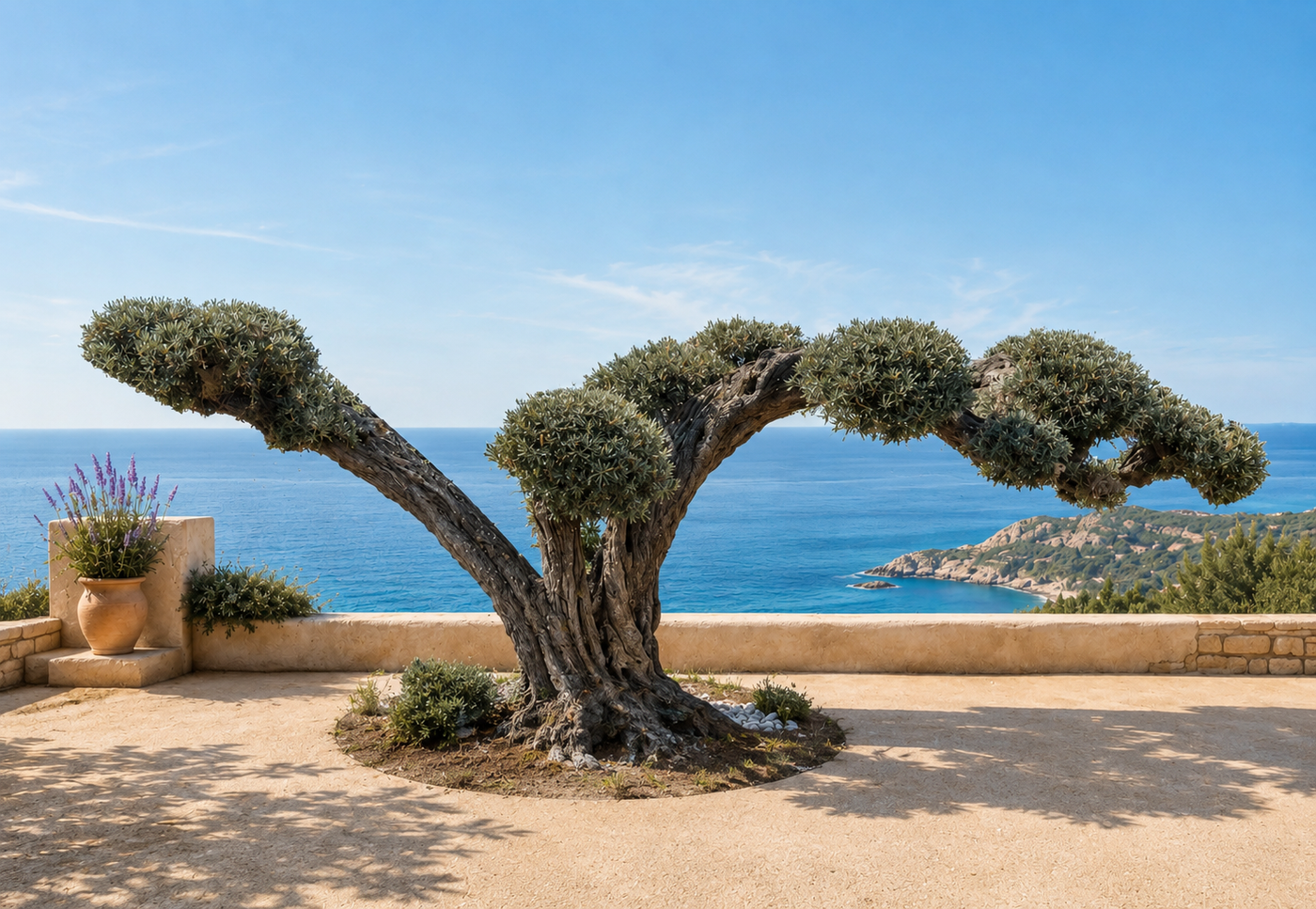Olivier Nuage Sculptural