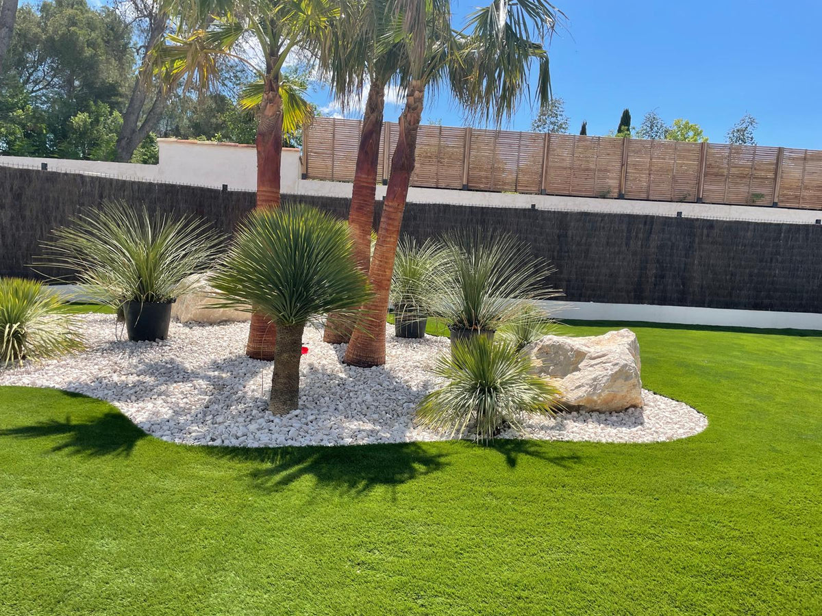 Création de jardin – Provence