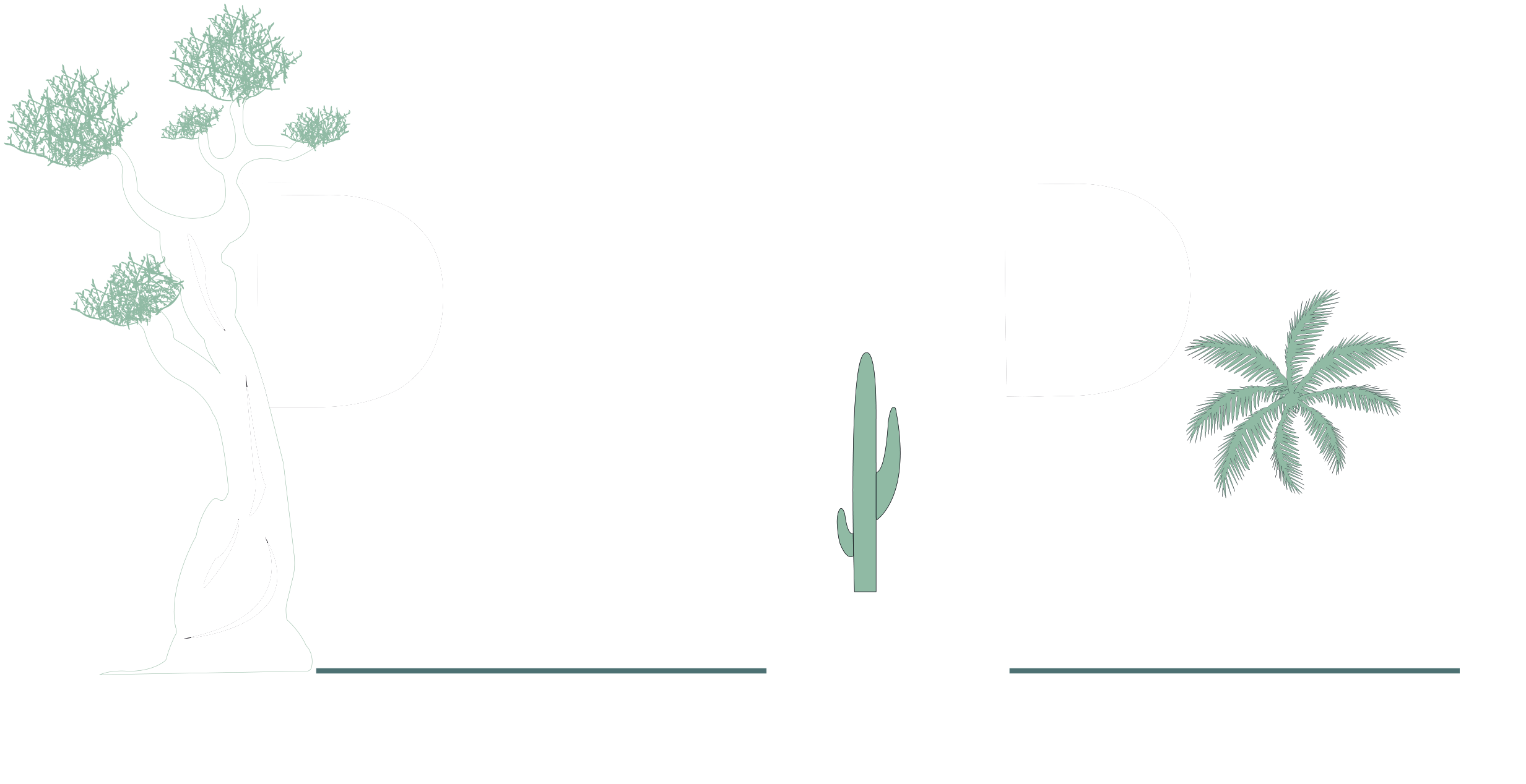 Logo Royal Palm Aix Blanc