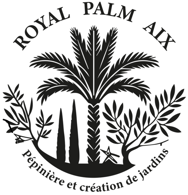 Royal Palm Aix 